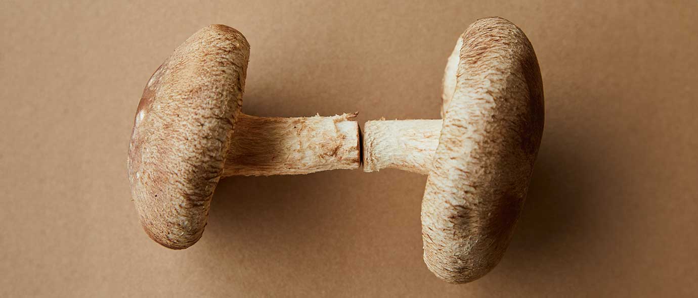 Un potente complemento a la nutrición