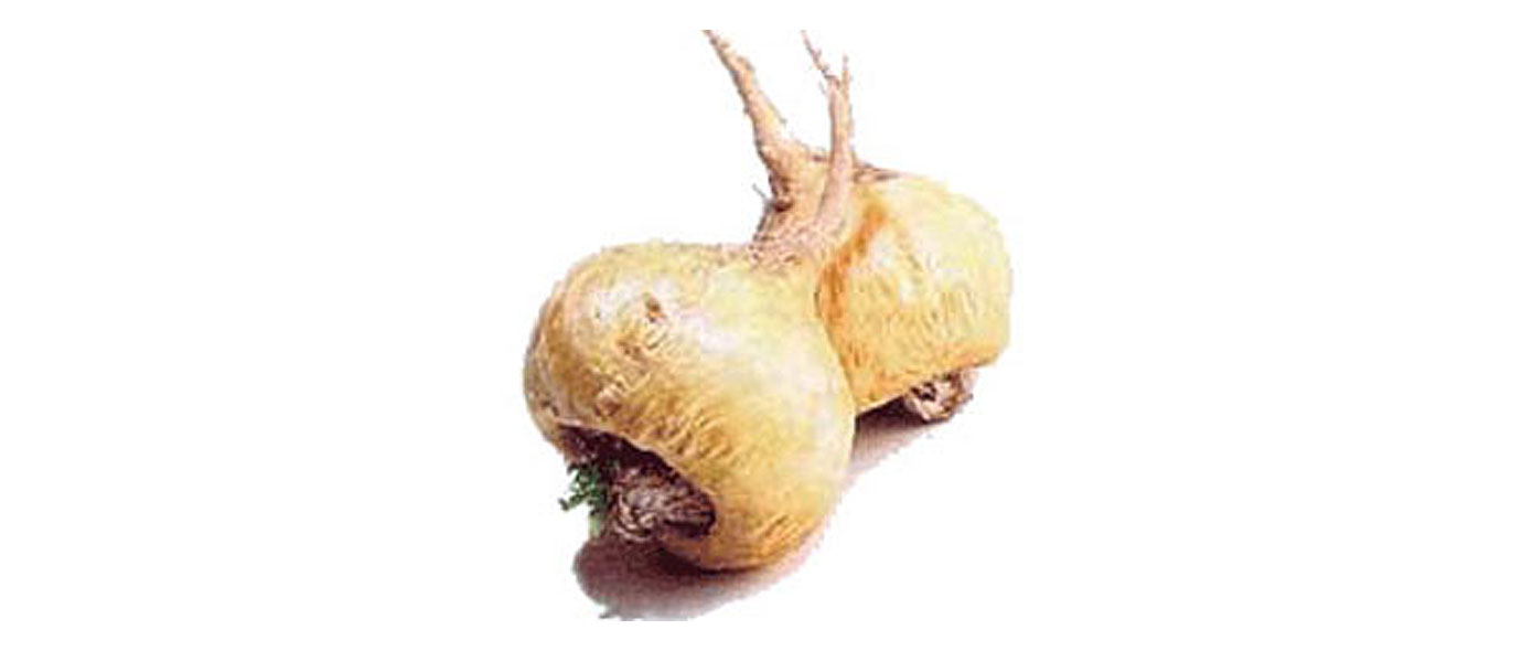 La maca: un alimento sagrado que cura